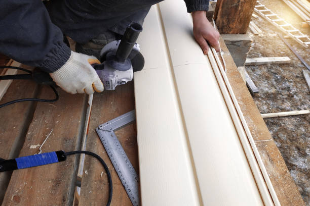 Best Historical Building Siding Restoration  in Homeland Park, SC