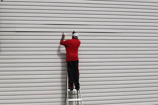 Best Siding Painting and Refinishing  in Homeland Park, SC