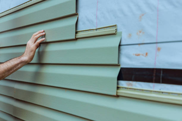 Best Brick Veneer Siding  in Homeland Park, SC